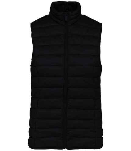 Native Spirit Ladies Light Recycled Bodywarmer